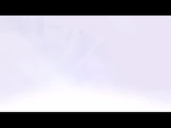 Hersteller. PS-Platte. CTCP-Platte. Doppelschicht-CTP-Platte. Prozesslose CTP-Platte.